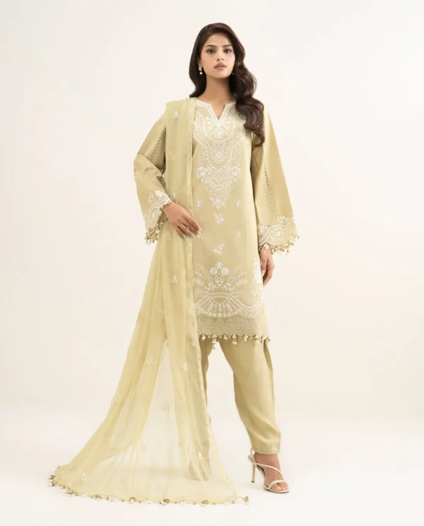 3 Piece - Embroidered Cotton Net Suit